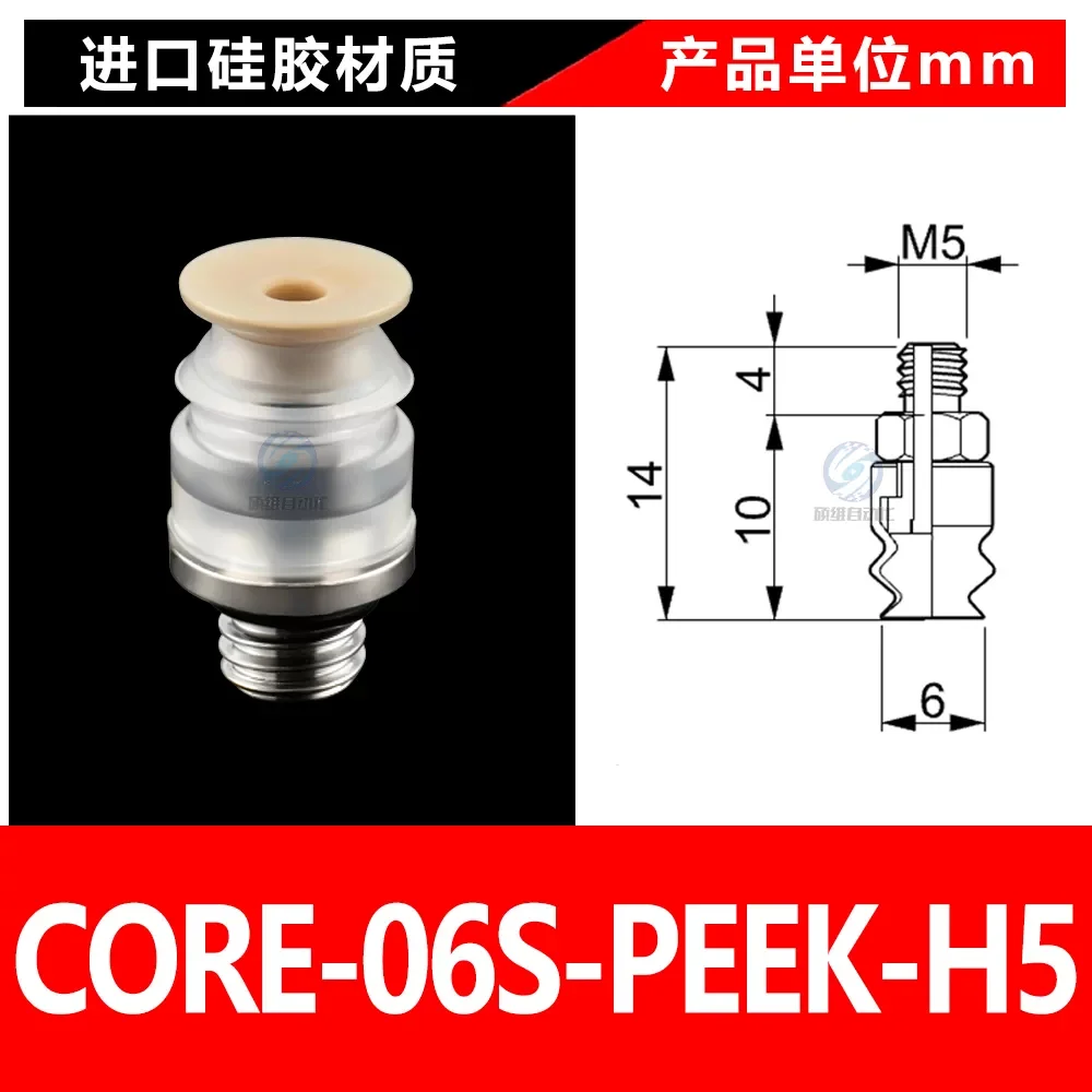CORE-06S-PEEK-H5
