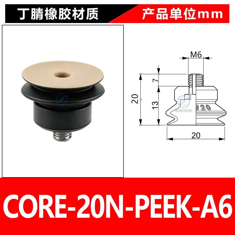 CORE-20N-PEEK-A6