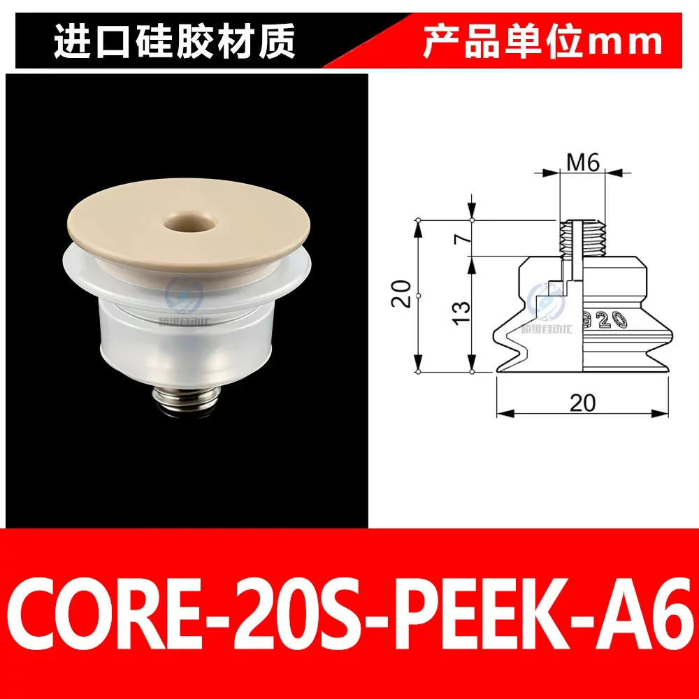 CORE-20S-PEEK-A6