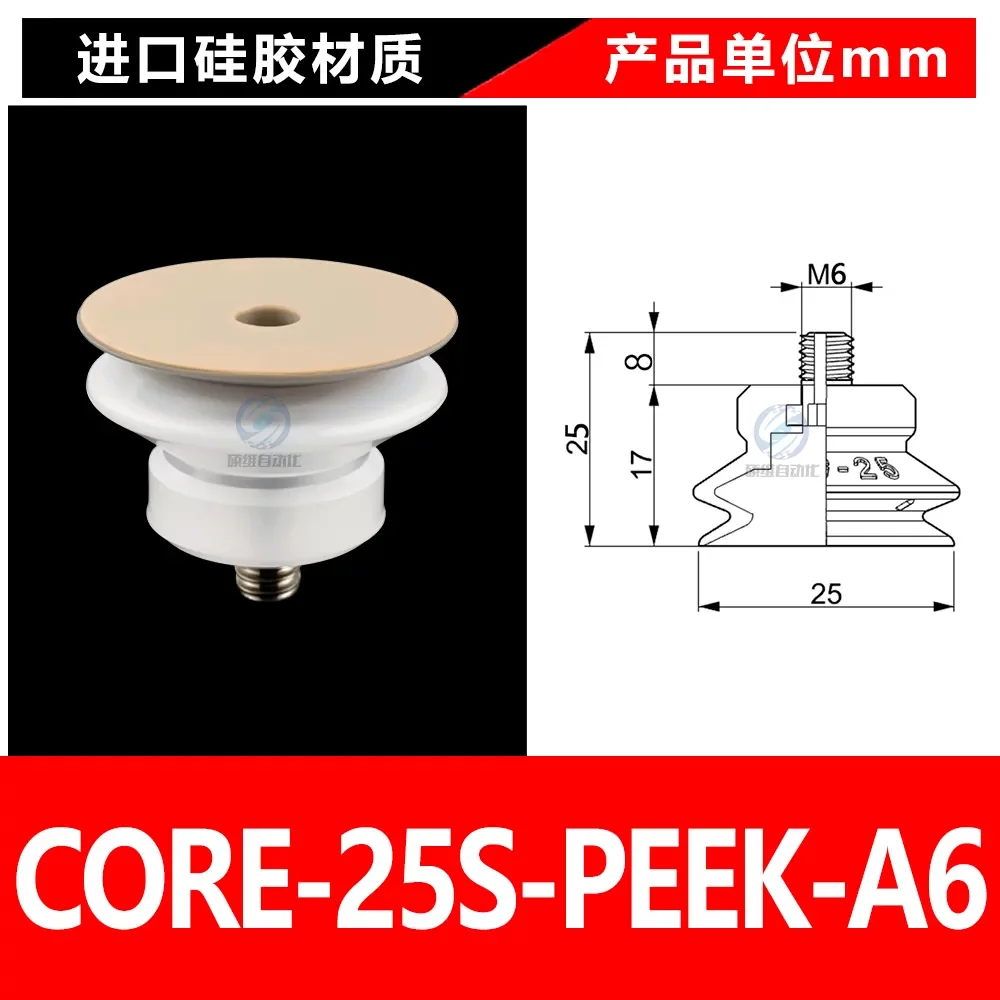 CORE-25S-PEEK-A6