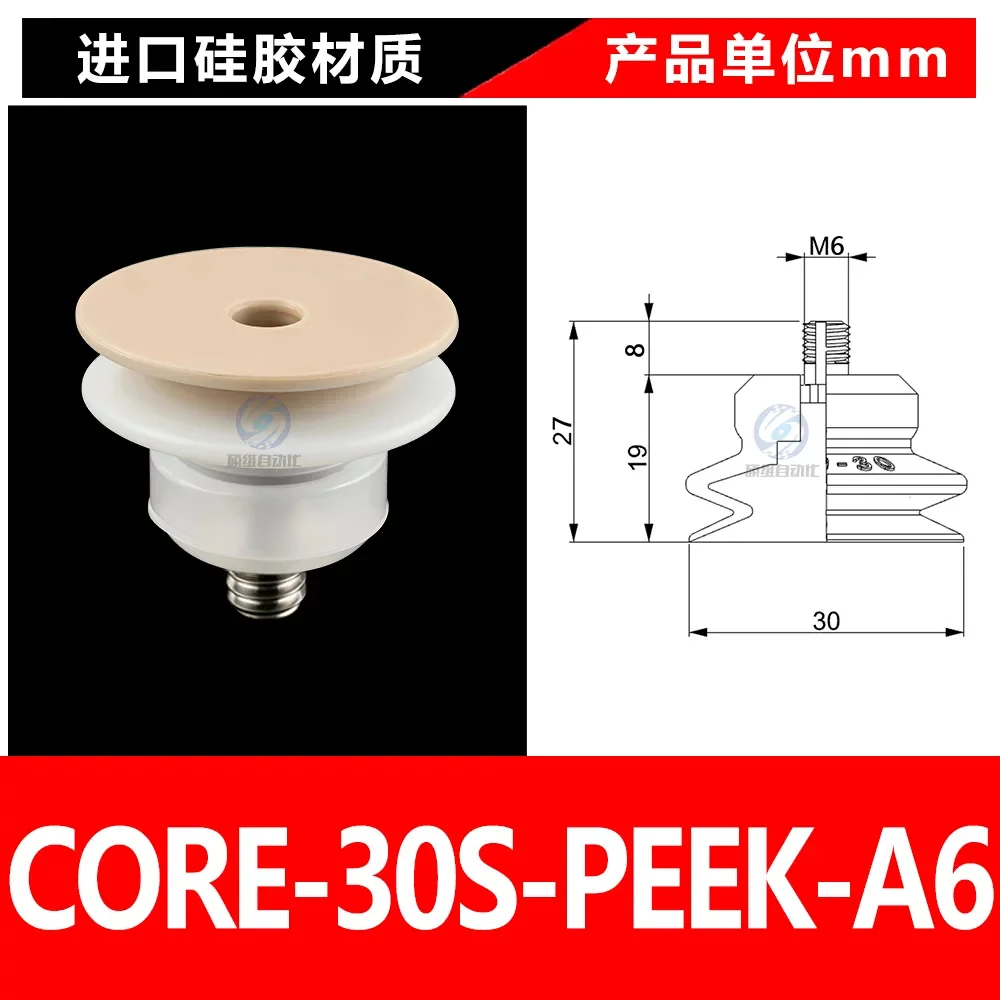CORE-30S-PEEK-A6